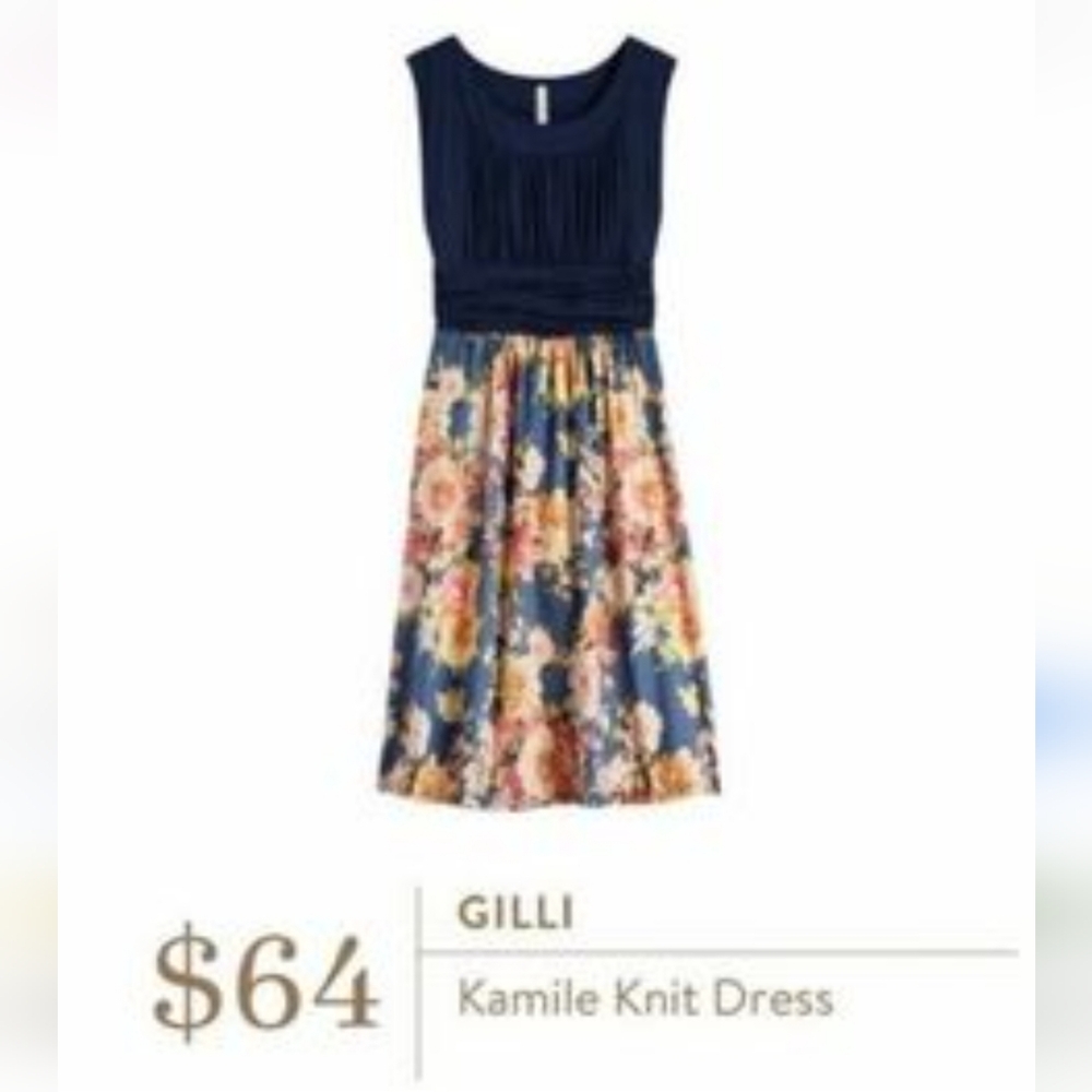 Stitch Fix Gilli floral dress